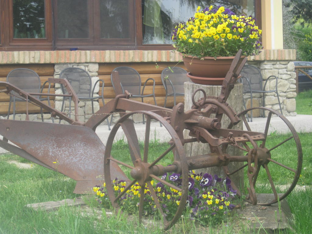 Le Spighe Agriturismo Τσεζένα Εξωτερικό φωτογραφία