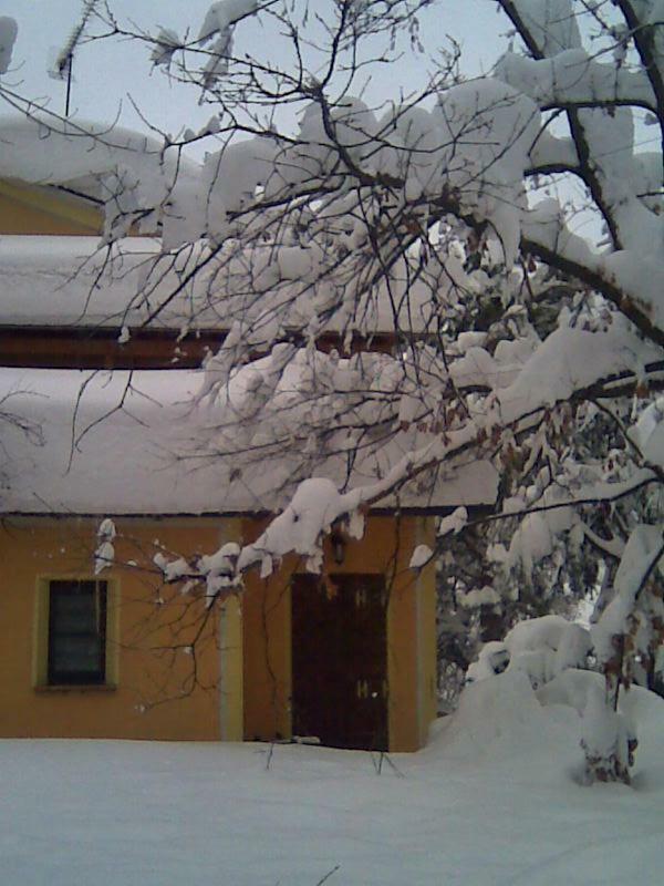 Le Spighe Agriturismo Τσεζένα Εξωτερικό φωτογραφία