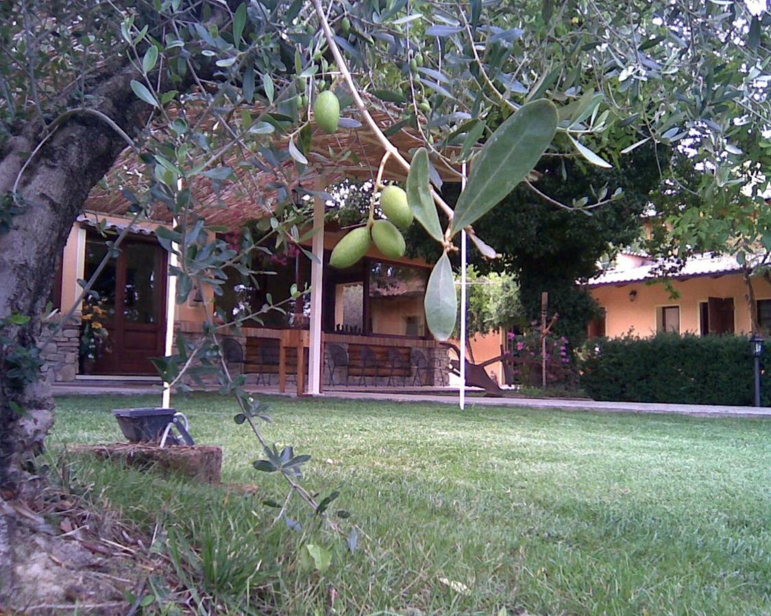 Le Spighe Agriturismo Τσεζένα Εξωτερικό φωτογραφία