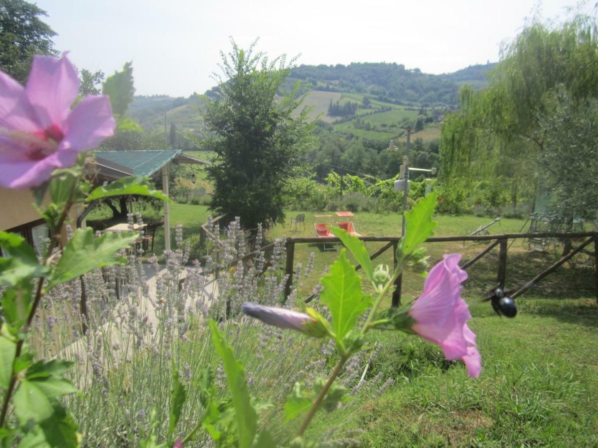 Le Spighe Agriturismo Τσεζένα Εξωτερικό φωτογραφία