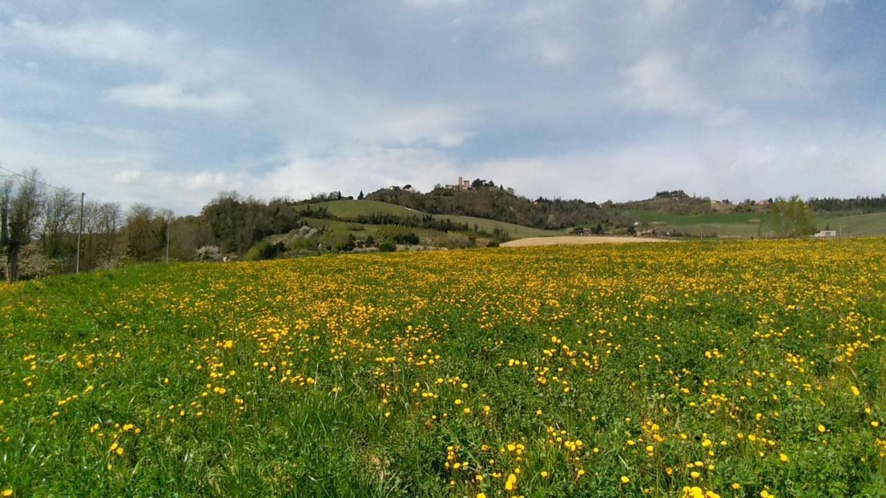 Le Spighe Agriturismo Τσεζένα Εξωτερικό φωτογραφία