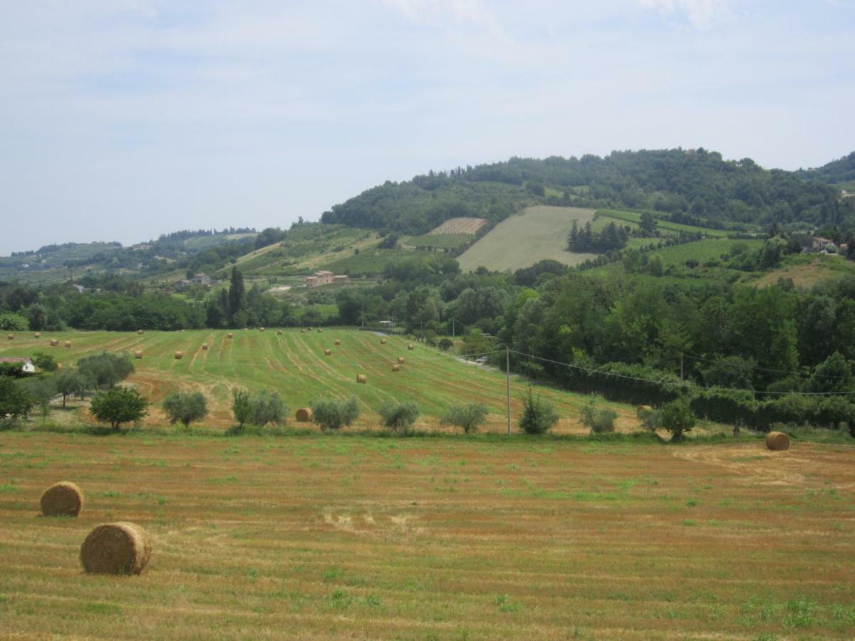 Le Spighe Agriturismo Τσεζένα Εξωτερικό φωτογραφία