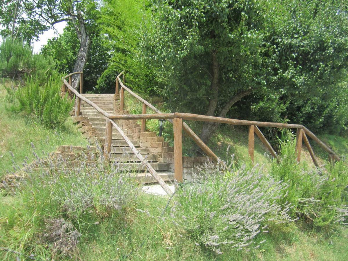 Le Spighe Agriturismo Τσεζένα Εξωτερικό φωτογραφία