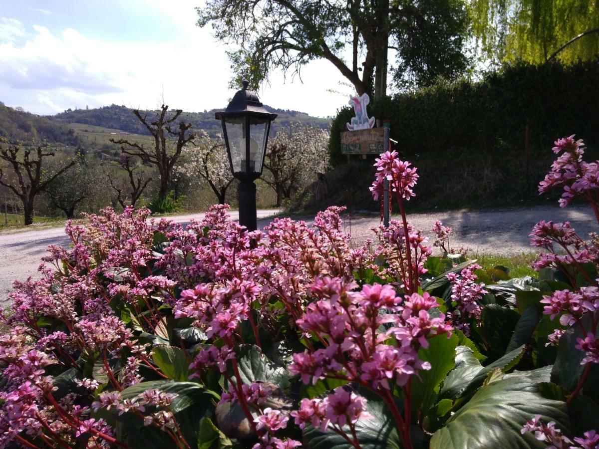 Le Spighe Agriturismo Τσεζένα Εξωτερικό φωτογραφία